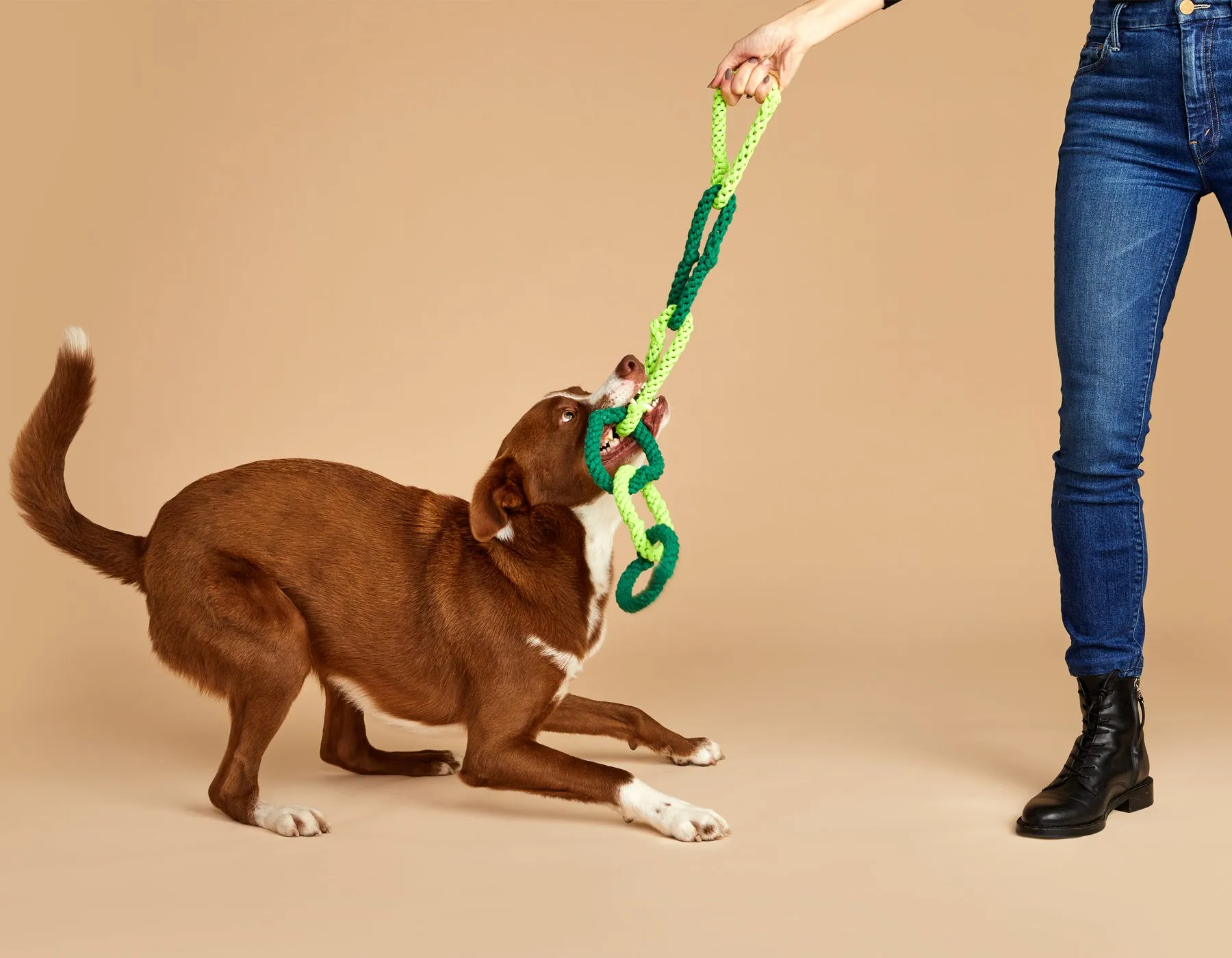 6 Chain Green Heart Rope Dog Toy