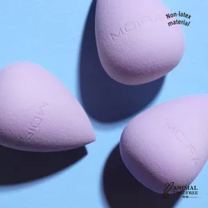 Complexion Beauty Sponge