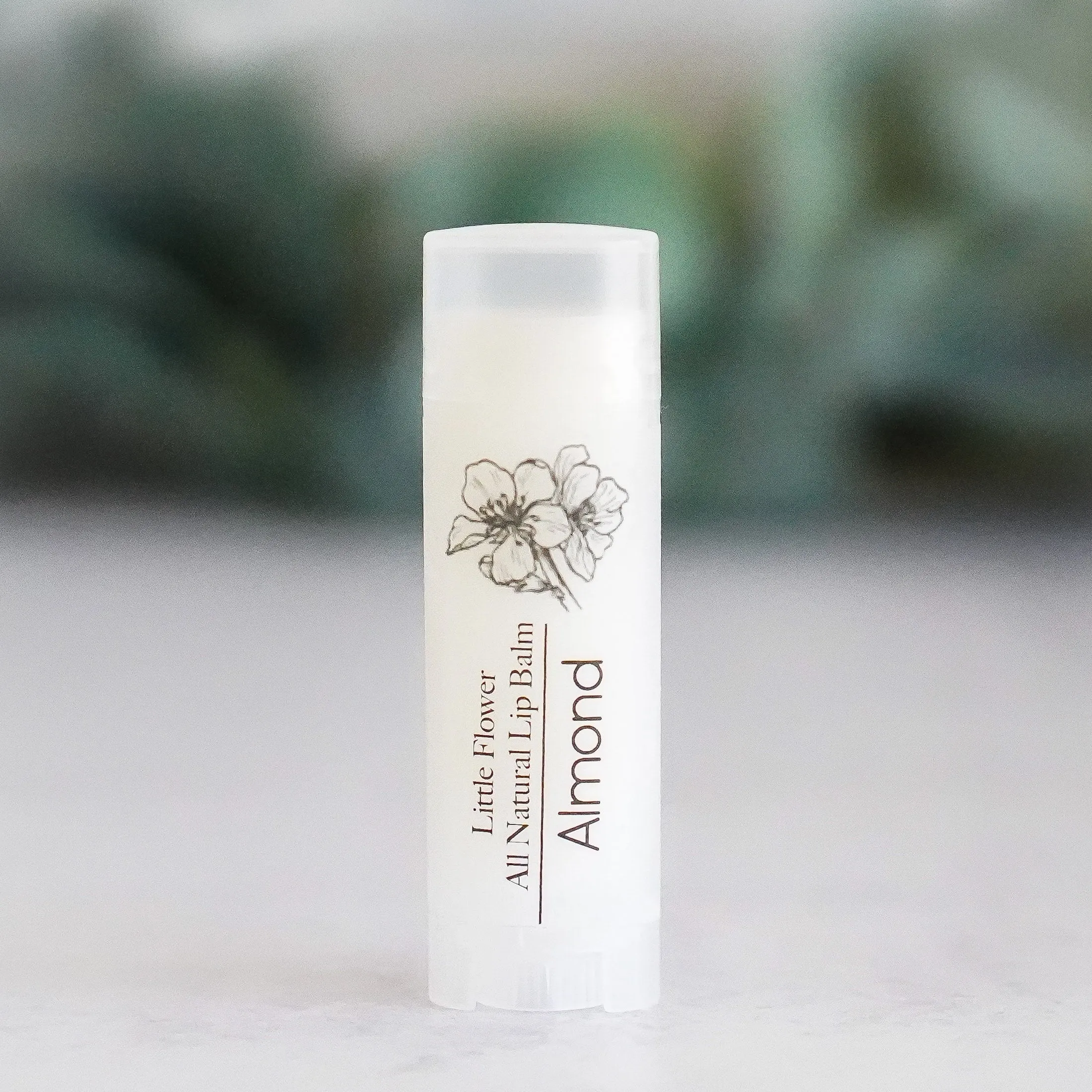 Pina Colada Lip Balm