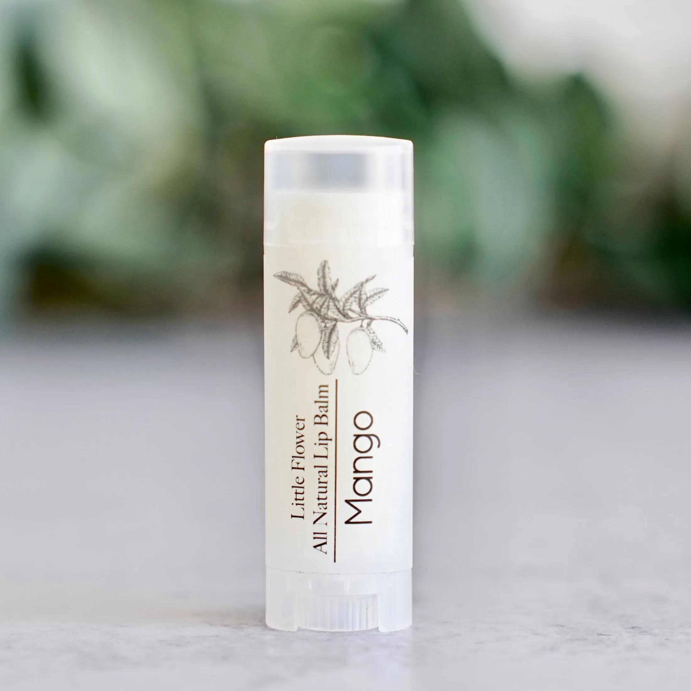 Pina Colada Lip Balm