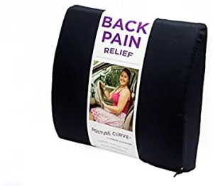 Posture Curve Lumbar Cushion